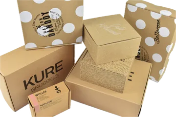 Експресна доставка Кашони в Zwijnaarde Белгия